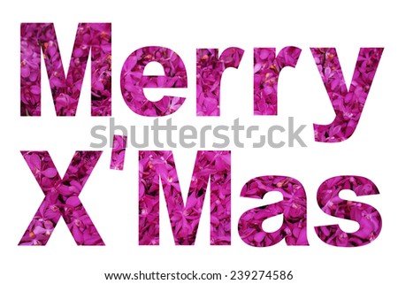 word merry x'mas made from orchid flower picture on white background 