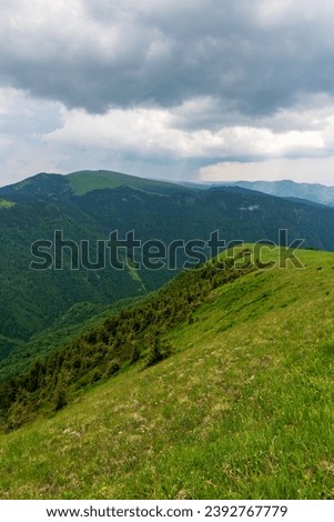 Blue mountains, green valley. Panoramic view of Ukrainian mountains in summer day. Carpathian, Ukraine, Europe. Mountain tourism. Tourism and travel concept. Natural green forest background panorama. Royalty-Free Stock Photo #2392767779
