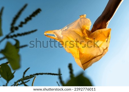 Volunteer Collect plastic bags at public parks for zero-waste, garbage and pollution, global warming, and climate change. Royalty-Free Stock Photo #2392776011