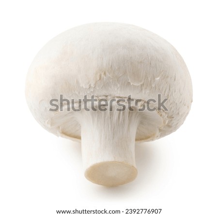 One whole fresh white champignon mushroom isolated on white background Royalty-Free Stock Photo #2392776907