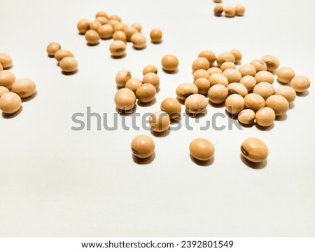 Soybean seeds isolated on a white background are suitable for catalog design, profile photos for food and beverage products