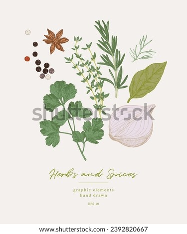 Hand drawn illustrations of spices and culinary herbs. Graphic elements for cook book design , restaurant menu and recipe sheets