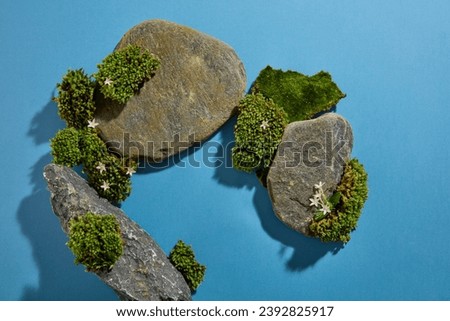 Mini landscape decorated on blue background with empty space for display product. Blocks of gray stone with green moss and small white flower decorated. Top view