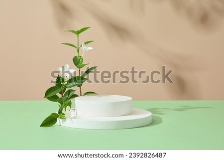 Front view of stack of white round podiums on brown background with green leaves and white flower. Scene for advertising and branding product with copy space