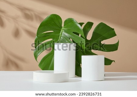 Minimalist empty display product presentation scene. Front view of white cylinder podiums with jungle monstera leaves decorated on brown background with natural shadow leaves