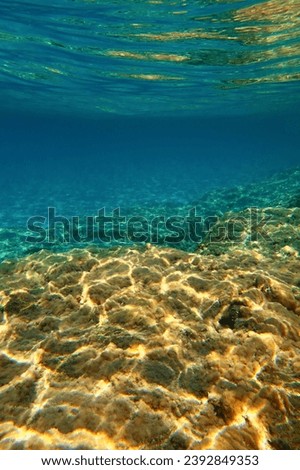 Underwater landscape, turquoise ocean with rock and calm water surface. Seascape in the shallow sea, underwater photography from snorkeling. Green blue sea, travel picture.