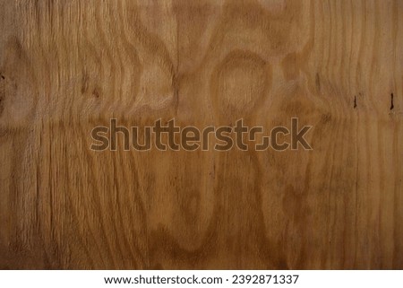 Old wooden fence pattern. Wood background. Wood texture closeup. Vintage wooden background with copy space in Brazil