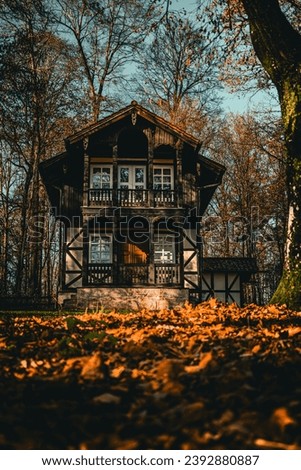 Autumnal picture of a house in the forest