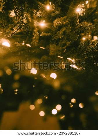 Christmas Decoration Lights, 
Christmas Lights on a Christmas Tree