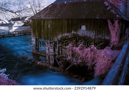 Infrared photography, a water, bushes near water, pink tree, medival buildings