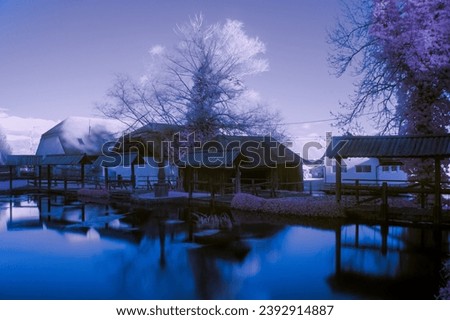 Infrared photography, a water, bushes near water, pink tree, medival buildings