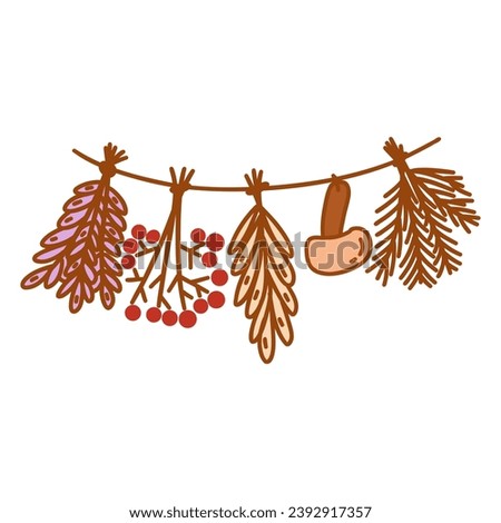 Bunches of herbs dried on rope with mushroom. Herbalism, folk medicine and tradition, naturopathy. Colorful vector isolated doodle illustration hand drawn with contour Royalty-Free Stock Photo #2392917357