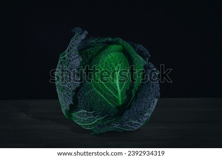 Macro photo with beautiful veins on cabbage leaves Royalty-Free Stock Photo #2392934319
