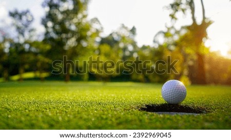 Golf ball on green grass in the evening golf course with sunshine background. Golf ball on the edge of hole on the green grass with warm tone and sunset.                               