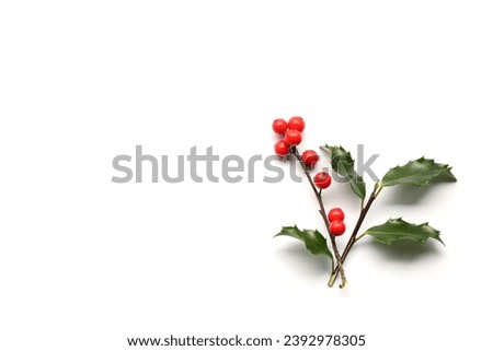 holly leaves and red berries (winterberries) isolated on white background (cut out holiday mistletoe graphic) berry, green, close up, greeting, christmas theme, gifting (evergreen bush)