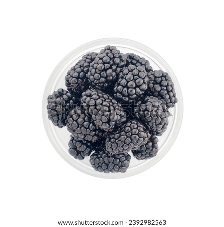 Small bowl of big juicy blackberries with antioxidants isolated on white background                