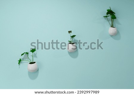 Three simple white wall-mounted planters with green plants against a light blue pastel wall, creating a minimalistic design element