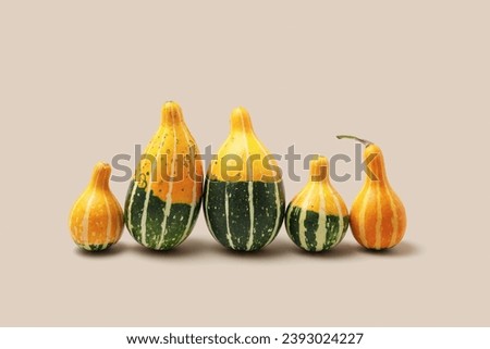 Decorative pumpkins on beige background. Minimal style aesthetic photo, stylish autumn concept, Halloween and Thanksgiving holiday. Mini cucurbita or squash, pastel color, creative autumnal vegetables