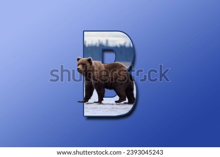 The letter B is embedded with a picture of the animal bear. Great animal background.