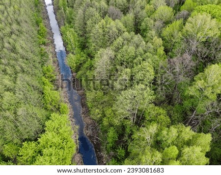 A small river among the trees in spring, aerial view. Forest river.