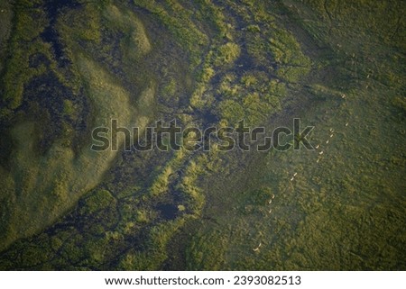 The views on Okavango Delta, Botswana, from a helicopter