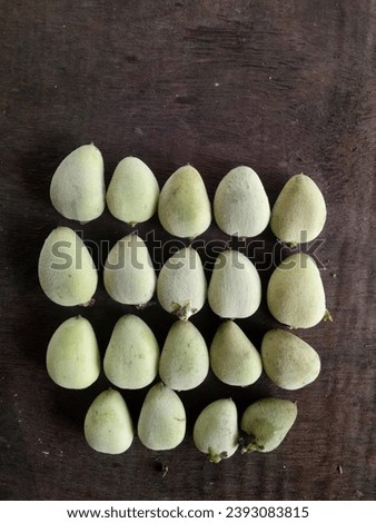 avicennia fruits in chocolate background, avicennia is type of mangrove ecosystem Royalty-Free Stock Photo #2393083815