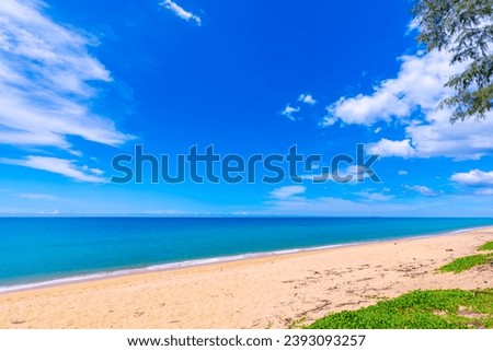 Beautiful sea summer landscape in summer season nature background