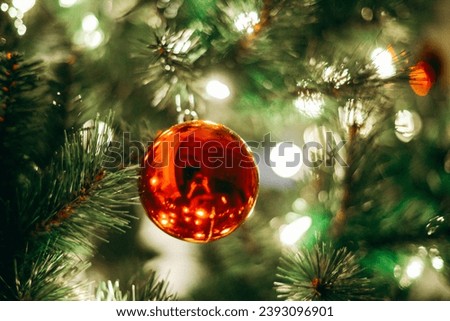 Christmas ornaments on pine tree