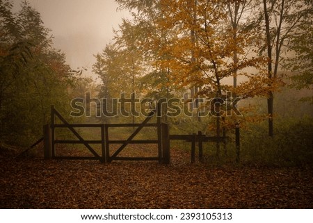 Wooden gate in the autumn forest with colorful leaves and fog.