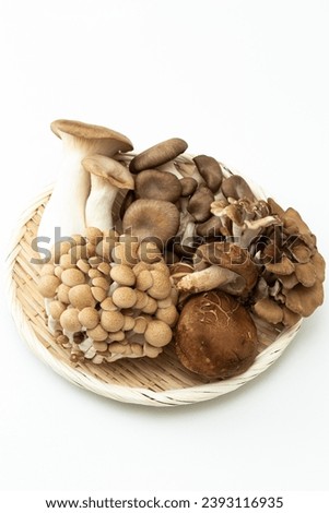 Assorted mushrooms on a white background.
