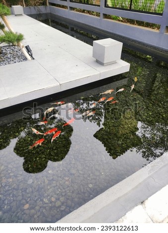 Fish pond with bonsai and lantern fence reflection
