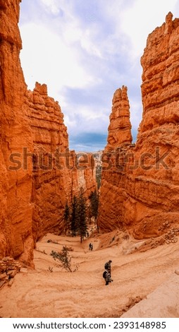 Bryce Canyon National park from above and below while out hiking Royalty-Free Stock Photo #2393148985