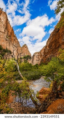 Hiking in Zion national park  Royalty-Free Stock Photo #2393149551