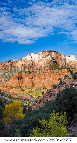 Hiking in Zion national park  Royalty-Free Stock Photo #2393149557