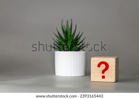 Question mark symbol. Unknown before decision, Business concept, Looking for answers, wooden cube on desk next to succulent on beautiful gray background
