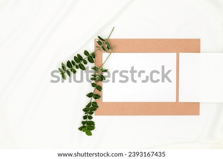 Business cards, cute green plant and craft envelope on delicate white silk background, top view, flat lay