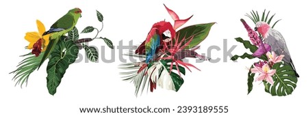 Summer design, big set with parrot bird, tropical beach background banners. Voucher discount. Card template.