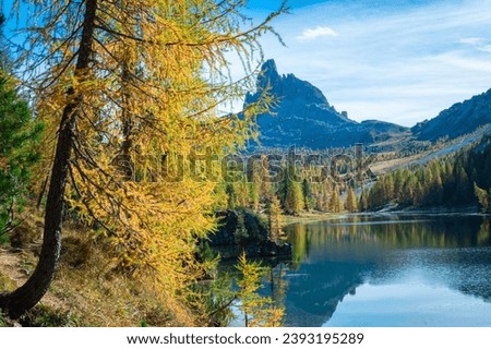 Autumn scenery of Lake Federa in Italy´s Dolomites Royalty-Free Stock Photo #2393195289