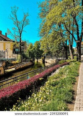 Blooming flower beds near the canal that separates the old town and the park
