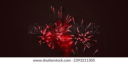 selective focus on a picture of colorful fireworks at night. the picture is a bit blurry