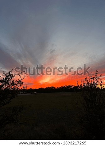 Sunset picture with bright orange and light blue, trees in background