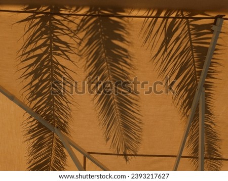 Shadows of palm tree leaves under the beach umbrella. Summer wallpaper. Chill background.