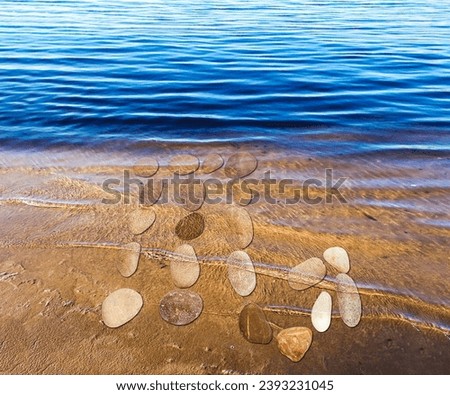 Zodiac sign Scorpio laid out from small stones on the shore