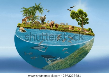 nature with animals tree ball