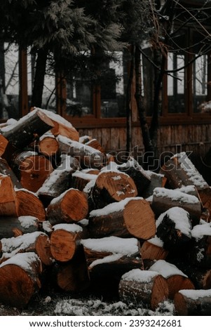 Picture of a pile of chopped firewood covered in snow.