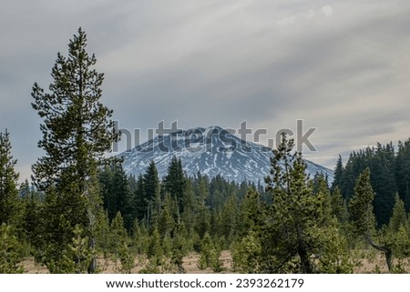 Mt. Bachelor, Deschutes National Forest, Central Oregon Royalty-Free Stock Photo #2393262179