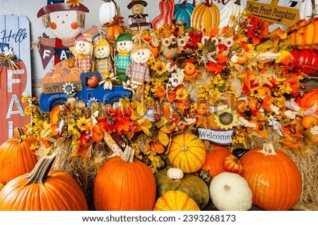 Halloween fall pumpkin celebration day postcard