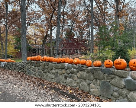 Halloween Jack O Lanterns lined up on s stone wall in Burns Park neighborhood in Ann Arbor, Michigan