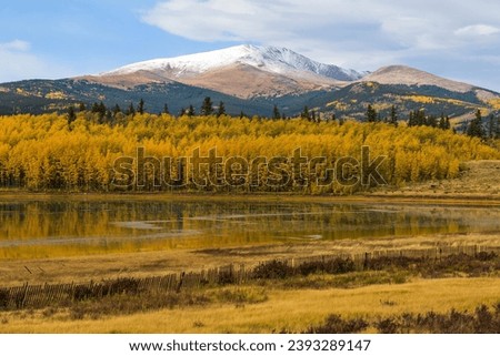 Autumn Mountain Pond - An Autumn view of a small pond surrounded by golden Aspen grove at base of snow-capped Mount Silverheels. Fairplay, Colorado, USA. Royalty-Free Stock Photo #2393289147