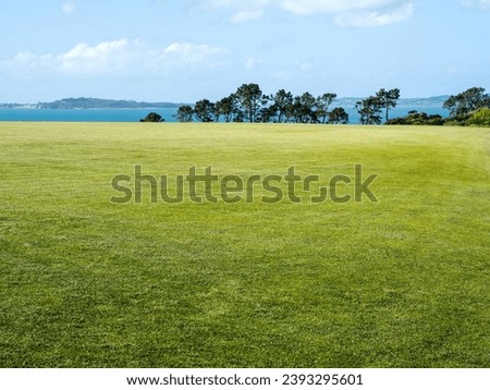 Vast lawn with short mowed grass